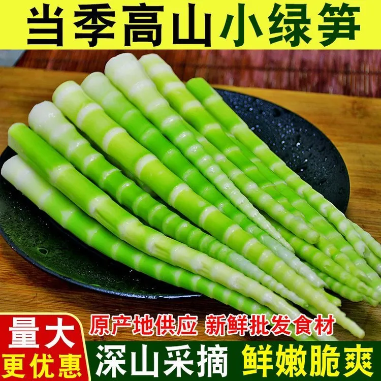 营养脆嫩小竹笋清水笋尖高山青笋火锅食材绿细笋麻辣烫串串店批发