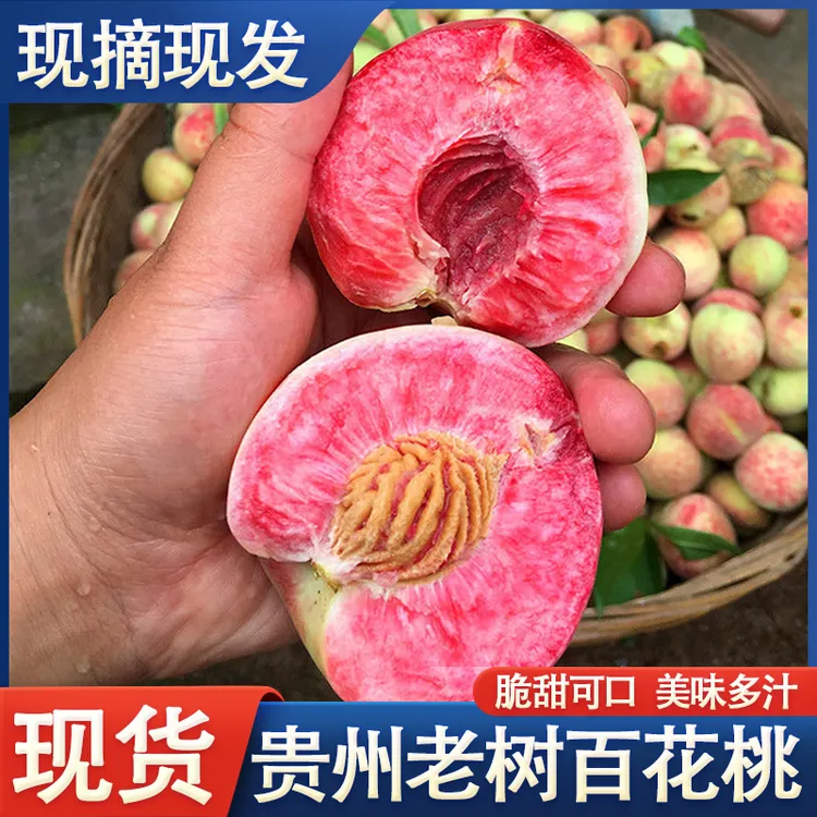 【冷链发货】贵州正宗老树白花桃血桃甜脆桃桃子新鲜现摘现发
