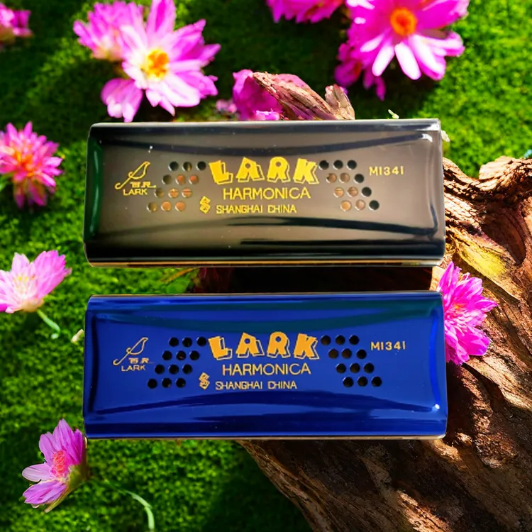 百灵牌口琴双面双调16孔32音专业演出表演C调和G调演奏型精制口琴