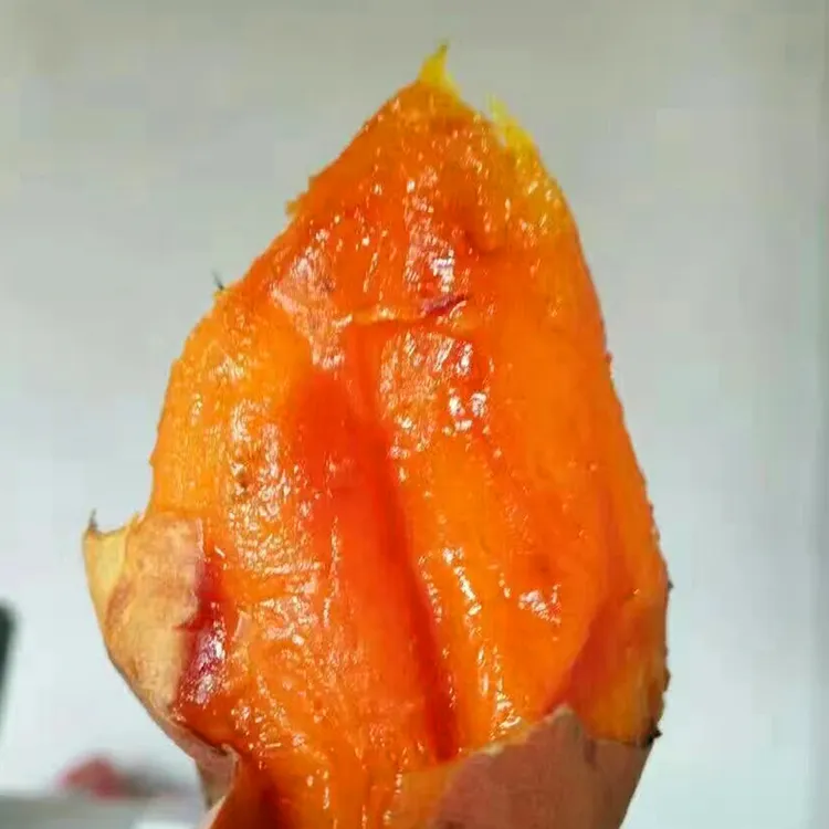 【隋隋家】25年当季烟薯25号新薯新鲜糖心红心蜜薯沙地番薯香甜