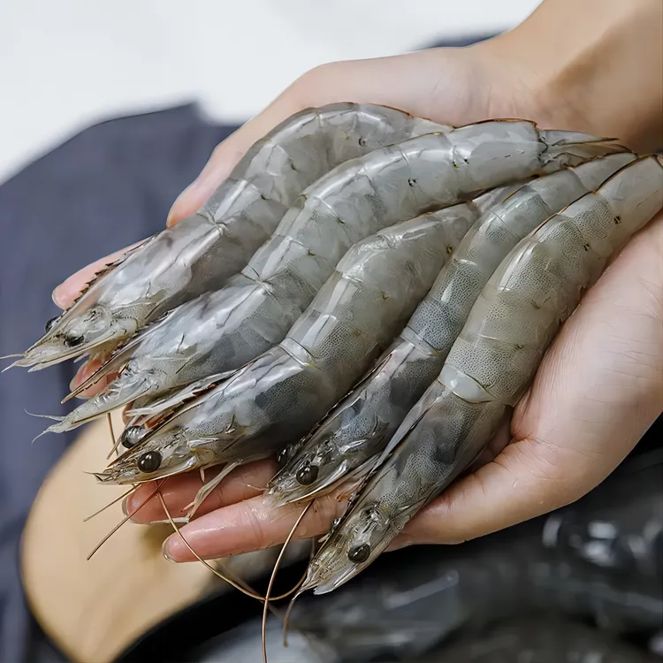 【隋隋家】海捕大虾新鲜冷冻船上速冻海虾高品质海虾3.3斤顺丰包邮