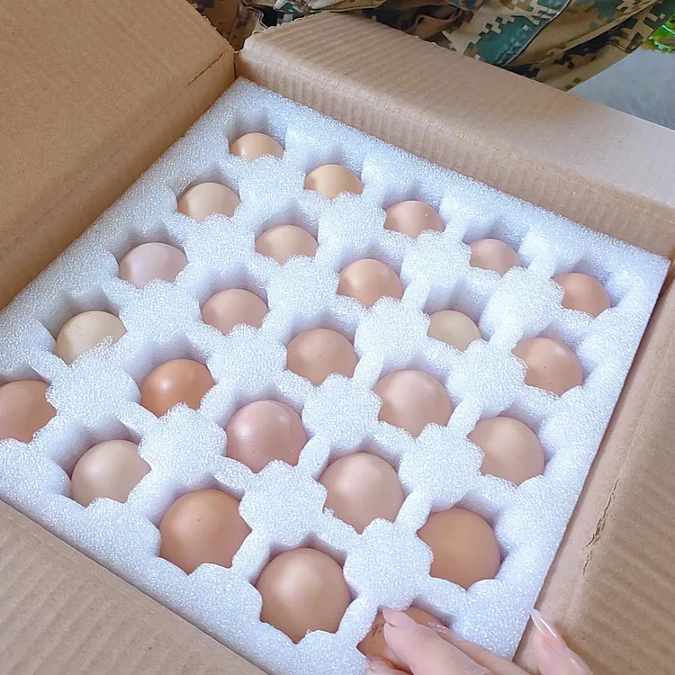 农家散养土鸡蛋柴鸡蛋