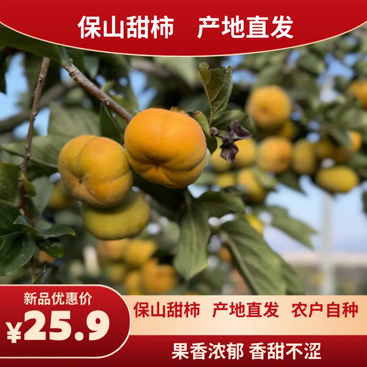 【产地直采】云南保山次郎甜脆柿子高山特产（小果普箱9斤实惠价）