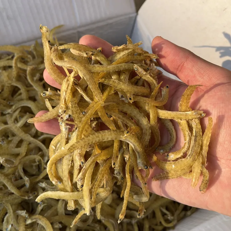 山东特产凤尾鱼干银鱼干面条鱼丁香鱼小皮条子海鲜干货批发小鱼