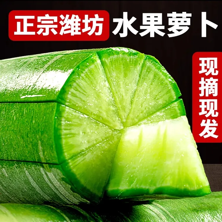 山东水果萝卜正宗水果萝卜整箱生吃脆甜微辣新鲜应季水果当季薄皮