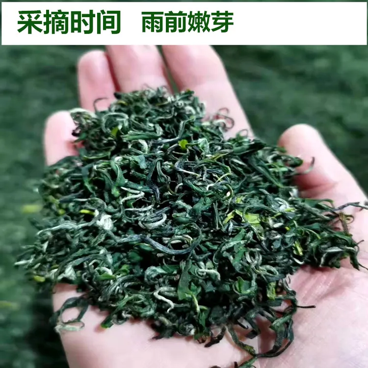恩施硒茶正宗利川高山绿茶茶叶2025新茶春茶浓香炒青新品福利价