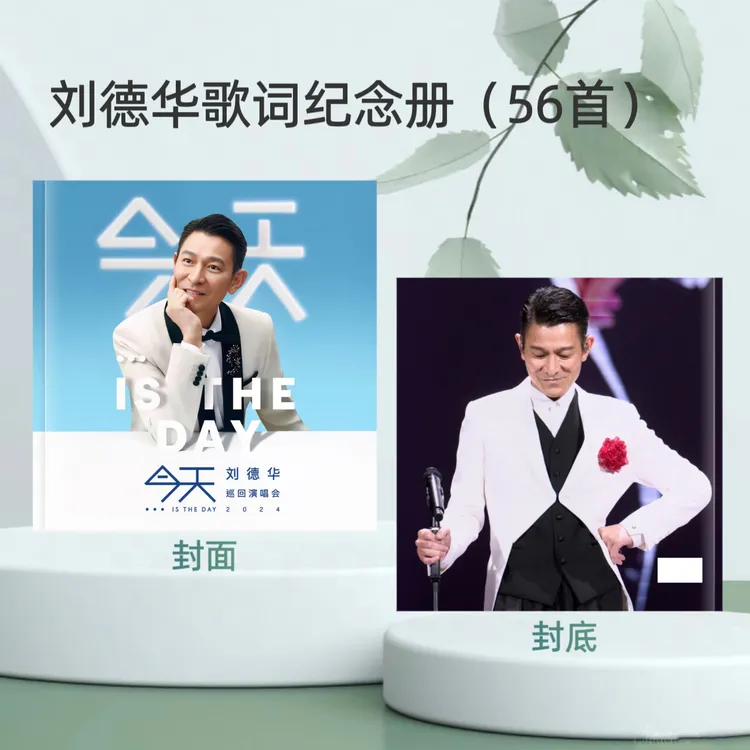 刘德华演唱会纪念册/杂志相册/歌词本纪念册