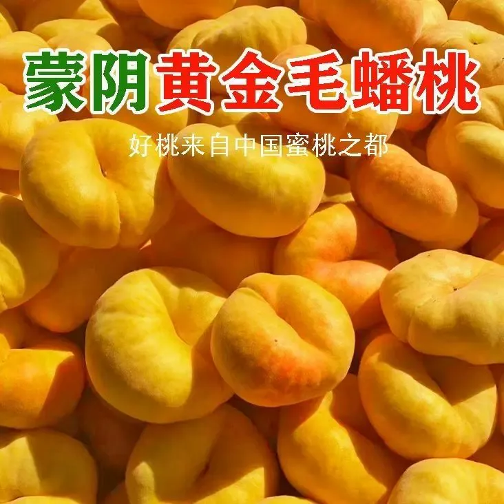 蒙阴黄金毛蟠桃净重4.5斤（9-12个）
