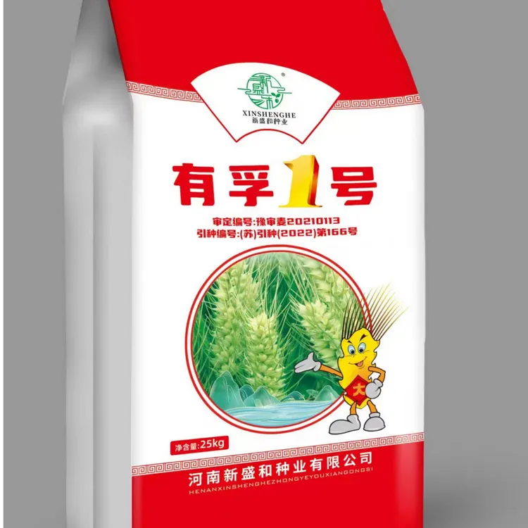 有孚1号小麦高产产量矮杆大穗产量高 老百姓都在种50斤