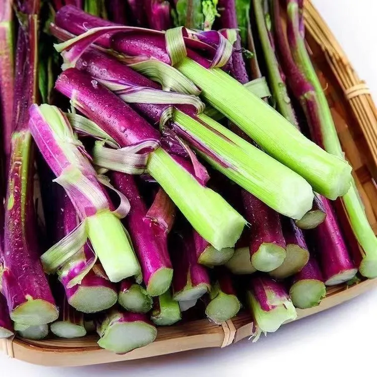 湖北农家自种紫皮红菜苔现摘现发露天菜红子清甜脆嫩【泡沫箱发货】