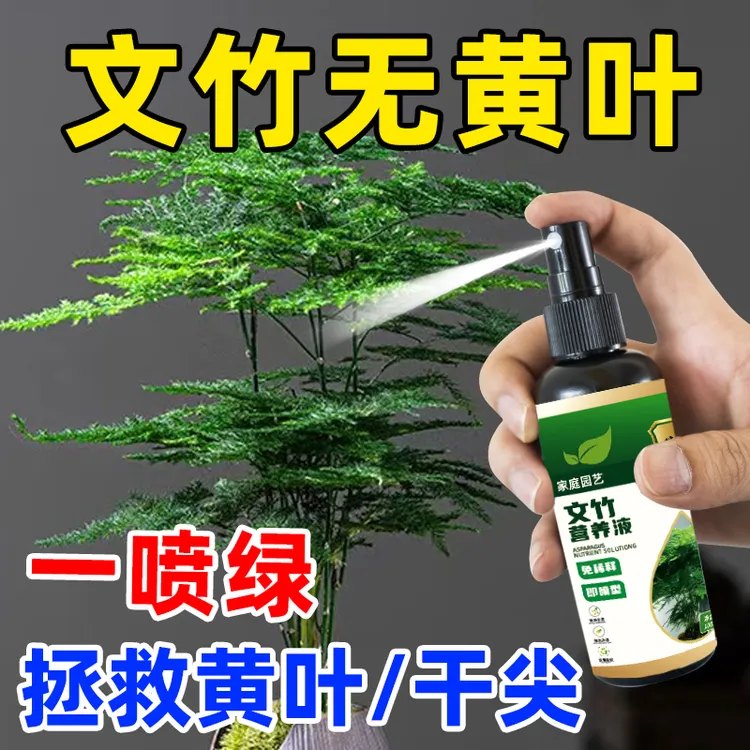 文竹营养液【一喷绿】防黄叶烂根干尖促绿催花免稀释植物增肥专用