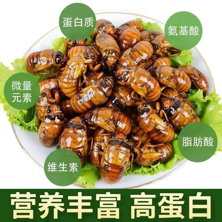 【顺丰】河南新鲜速冻知了金蝉 爬叉猴结了龟 可烧烤油炸