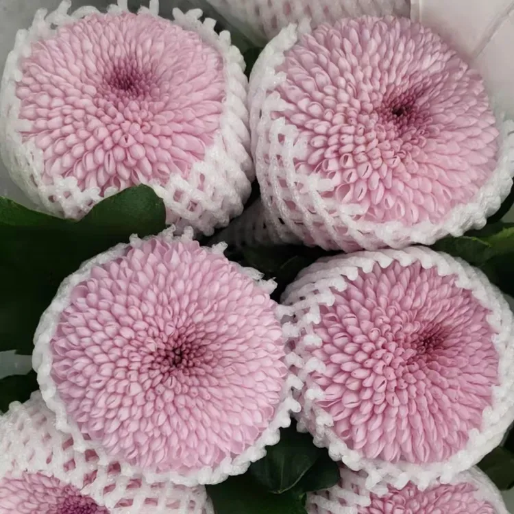 【馨缘花铺】乒乓菊鲜切鲜花花云南基地直发水养放办公室客厅