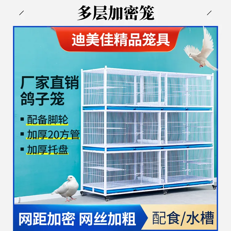 新款鸽子笼配对笼鹌鹑笼信鸽养殖笼多层加密鸽鸡鸭猫狗繁育笼结实