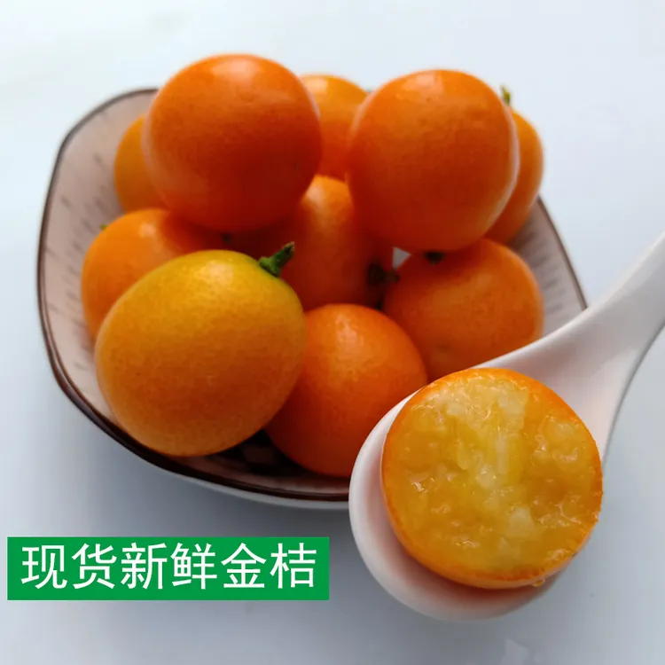 【现货现摘新鲜黄皮金桔】孕妇当季酸甜油皮麻皮金钱橘子咳嗽熬膏煮