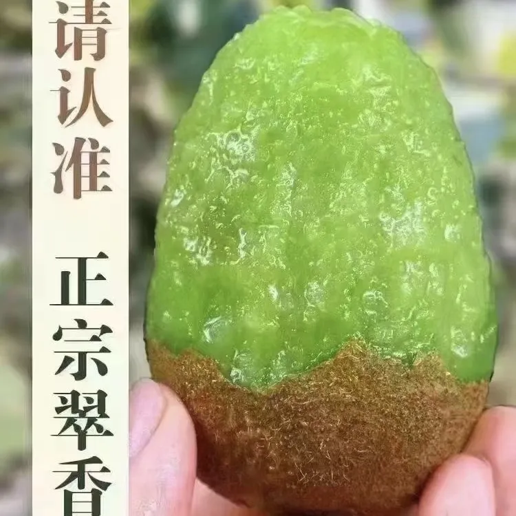 【农佳优品甄选】周至 翠香猕猴桃 产地直发