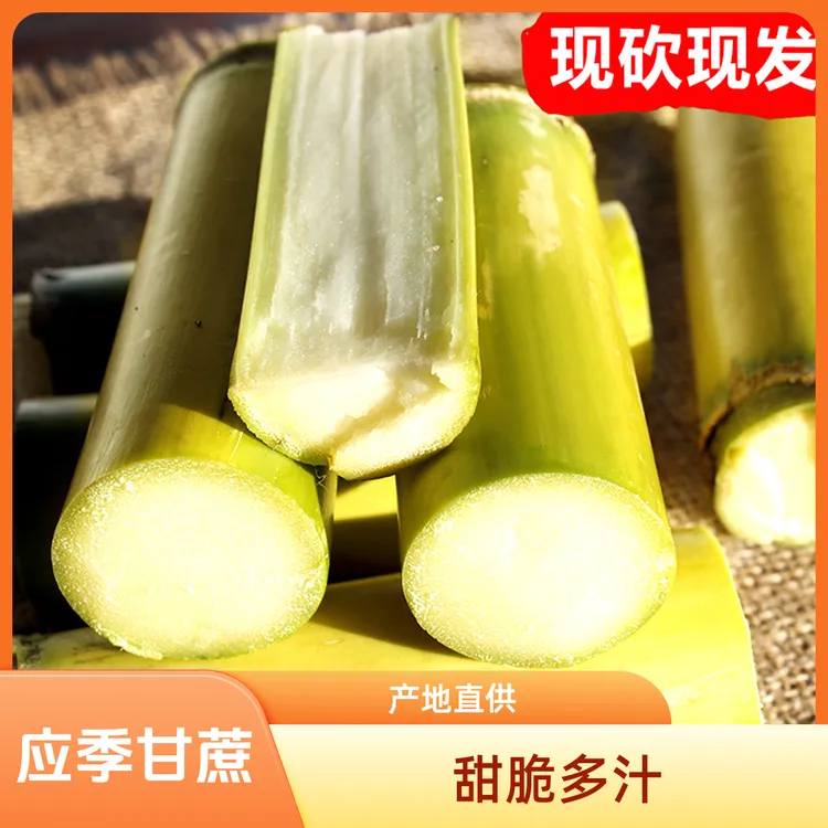 云南黄金甘蔗清甜可口现砍现发新鲜水果