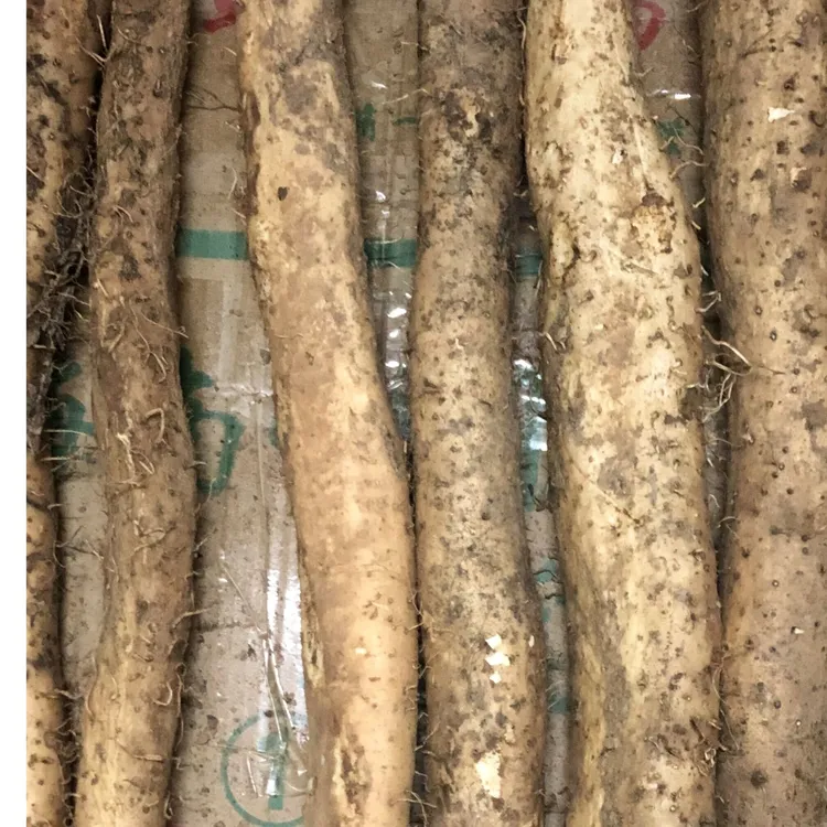 海南野生风铃果山药直播间选品下单链接