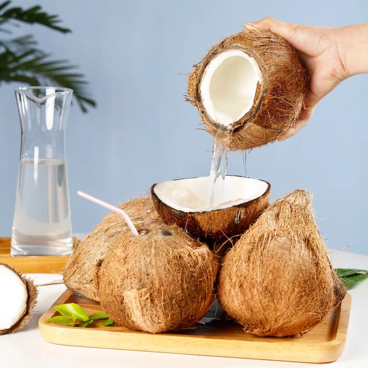 海南老椰子海南水果椰青热带水果新鲜椰子汁水2个装4个装包邮