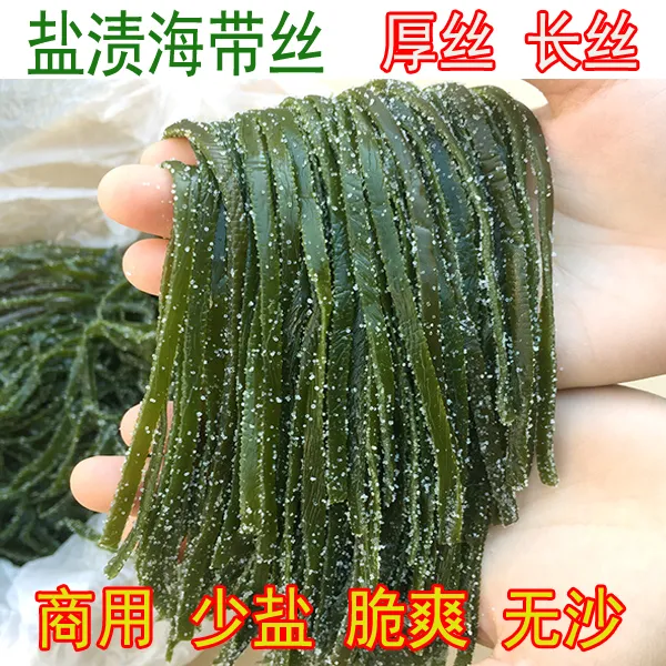 【盐少】长丝新鲜海带丝厚盐渍海带凉拌非干货火锅食材批发三斤半