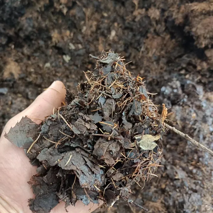 君子兰专用土5-6斤 腐叶土