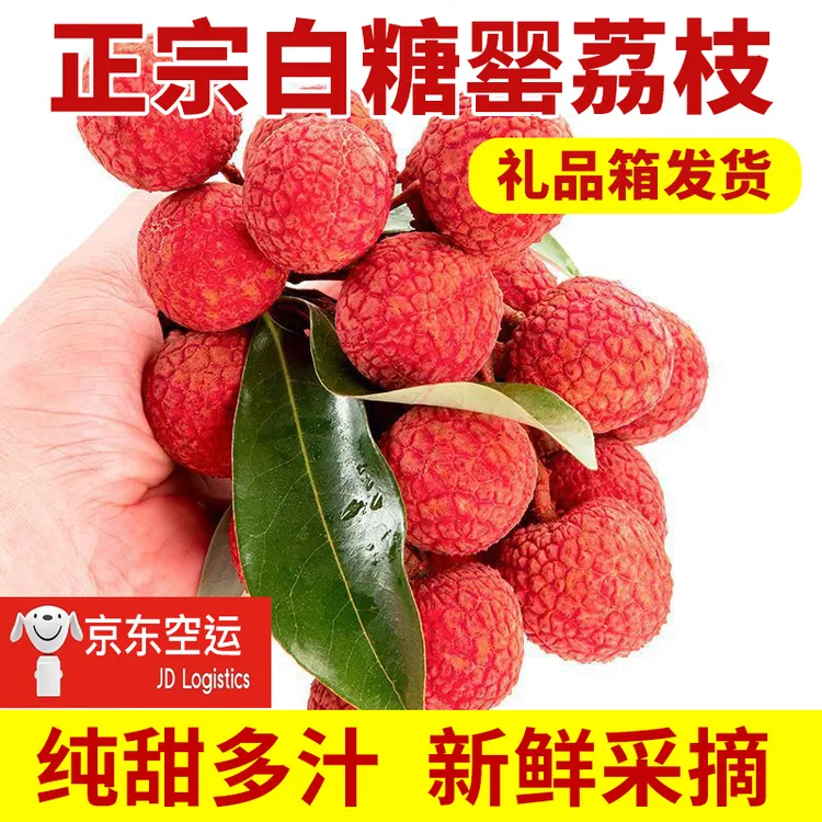【现货空运】广东正宗白糖罂纯甜荔枝当季新鲜现摘应季水果非妃子笑