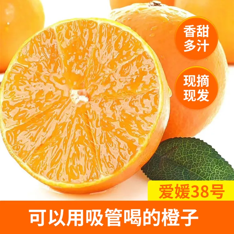 【孕妇水果】正宗四川晚熟现摘果冻橙产地直销手剥橙香甜多汁5斤8斤