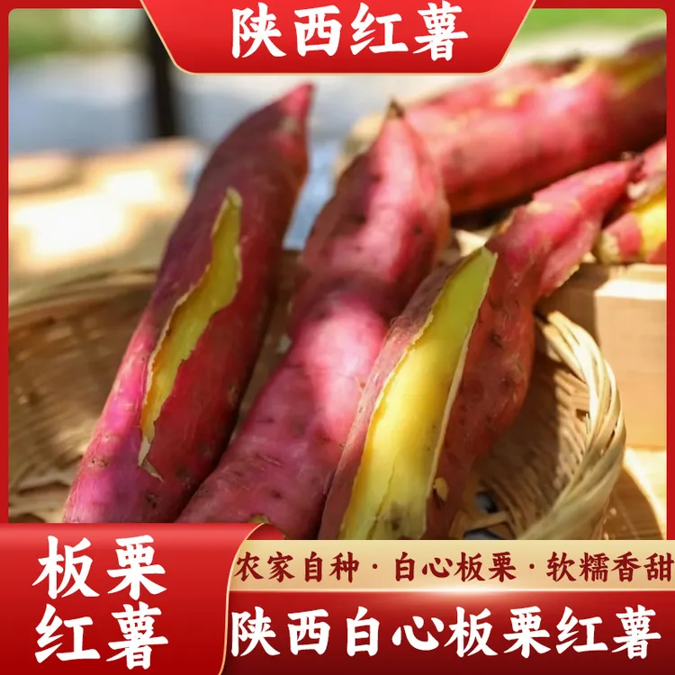 正宗陕西板栗自种原产地白心板栗红薯甘绵甜健康净重5斤