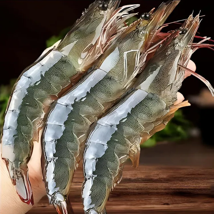 （青岛）18-19cm海虾2030净三斤拍两份减5元海鲜顺丰发货