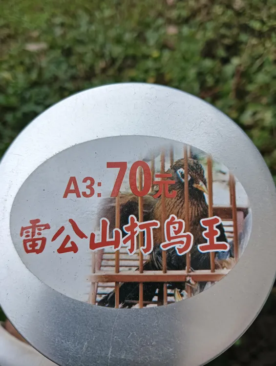 雷公山斗鸟鸟食A3新鲜发货提性壮膘增强斗性和耐力收身健胃斗鸟用