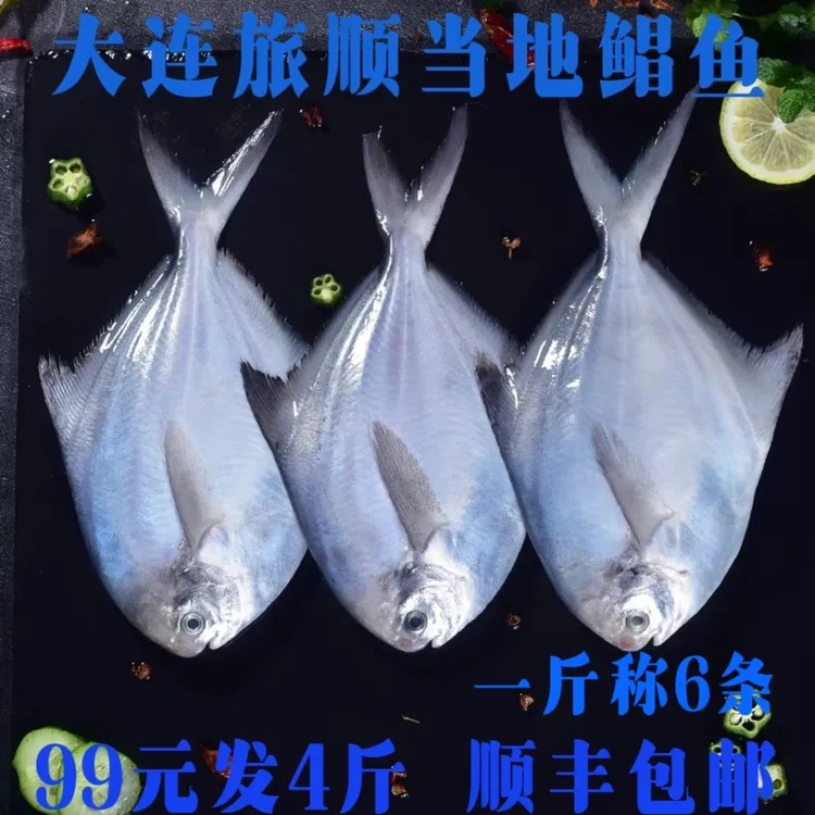大连旅顺当地鲳鱼 肉质细腻 口感鲜甜 刺少宝宝做辅食很好呢