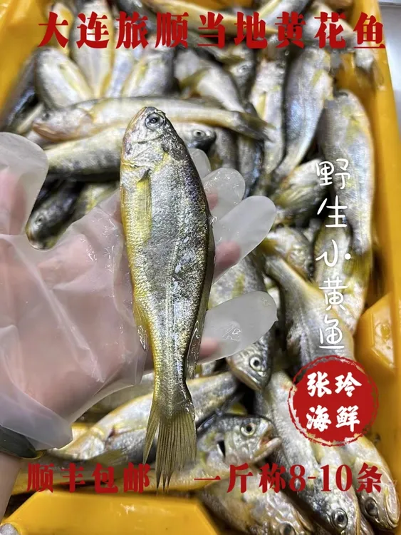 正宗大连野生黄花鱼3-5斤装炸炖干烧都可以肉质细腻420-450g