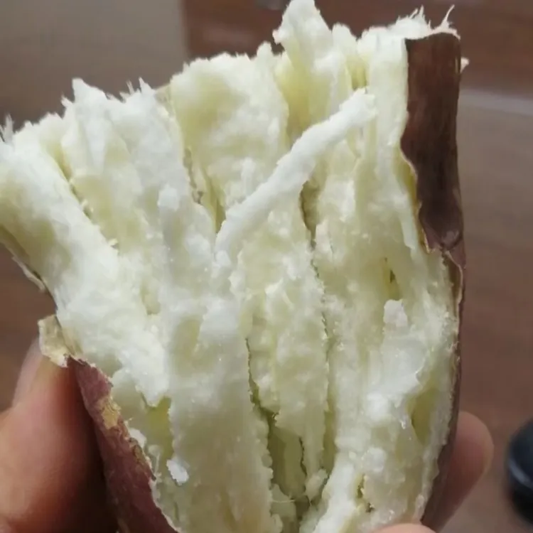 东兴特产红姑娘红薯白心番薯红皮地瓜山芋粉面糯香甜农家自种10斤