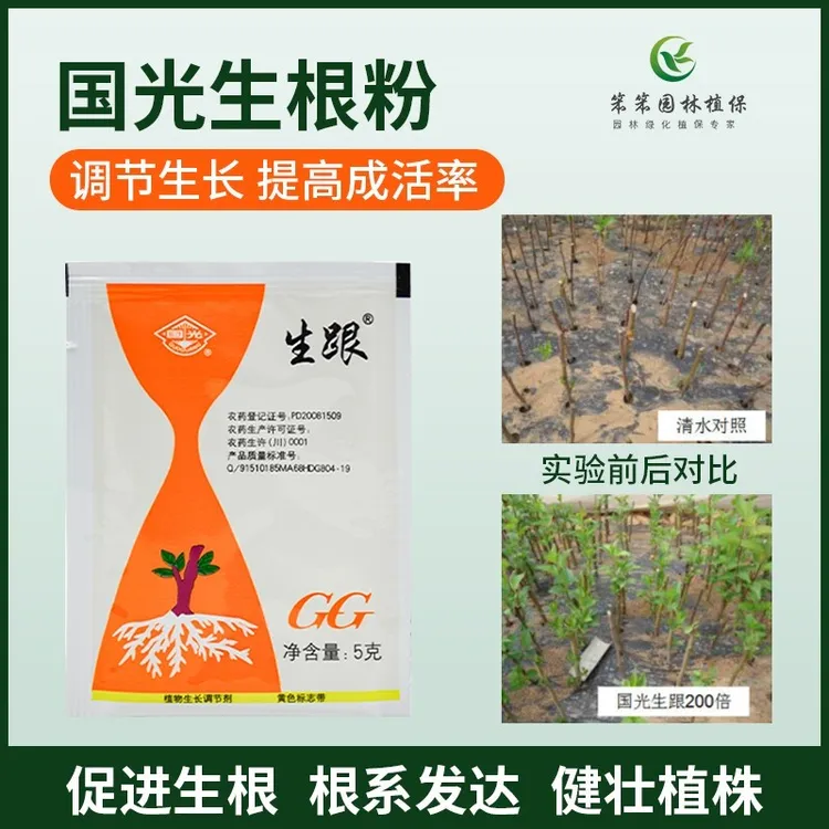 国光生根粉萘乙酸植物扦插移栽快速服盆促进生根爆发生根剂液长根