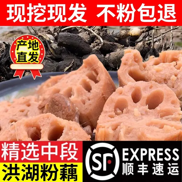 新鲜洪湖粉藕5斤当季粉藕时令蔬菜湖北特产现挖煨汤莲藕顺丰包邮