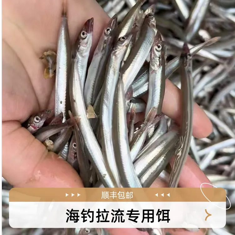 青岛本地新鲜速冻面条鱼 小银针鱼 海钓鲅鱼刀鱼拉流专用饵料 