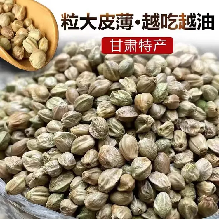大颗粒食用麻子天水麻子大粒甘肃特产特大生麻子火麻子籽人吃炒熟