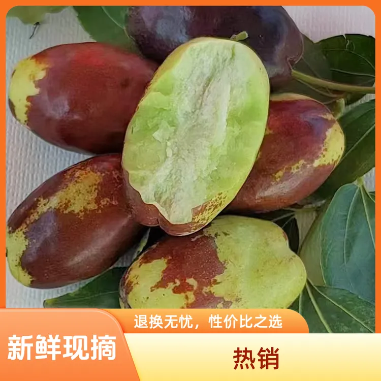 宁夏土特产礼品长红枣