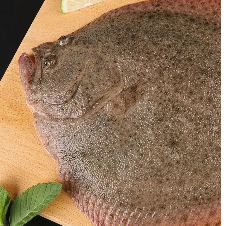 多宝鱼鲜活速冻发货肉质细腻味道美味