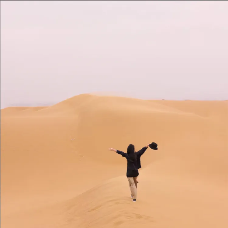 4NWT157【沙漠衣】【贵姐NICOLE】进口面料百搭旅行户外穿搭外套