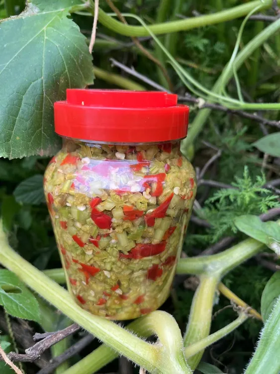 比较酸 建议炒着吃 酸辣南瓜藤