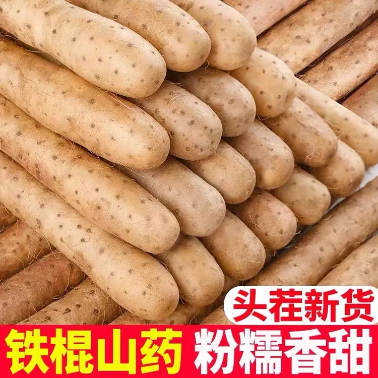 铁棍山药小白嘴山药产地直发新鲜发货粉糯干面5斤50-60cm