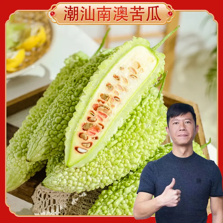 牧渔人家甄选南澳岛西阁村珠瓜 口感甘爽刺身 约300g/条苦瓜5斤装