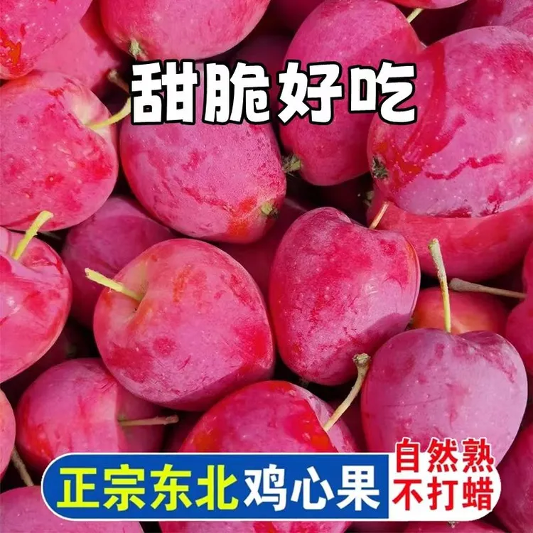 鸡心果东北特产锦绣海棠应季小苹果脆甜多汁自然熟1/3/5斤/包邮商品图