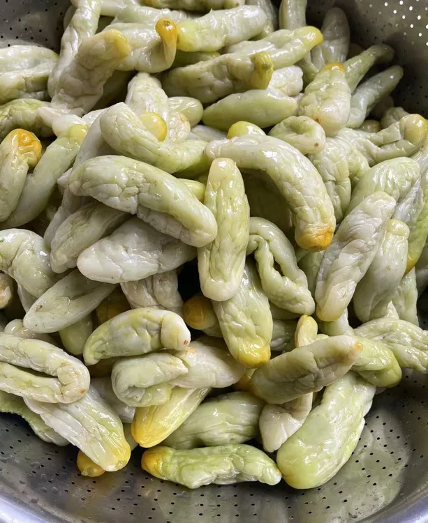 【专属链接】和美芬姐黄瓜皮（每包一斤）