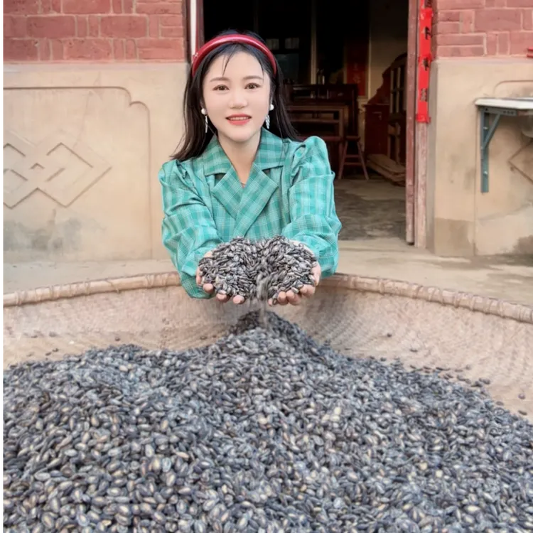 今年农家打瓜子大别山特产农家西瓜子打瓜籽炒货小而香500g净重