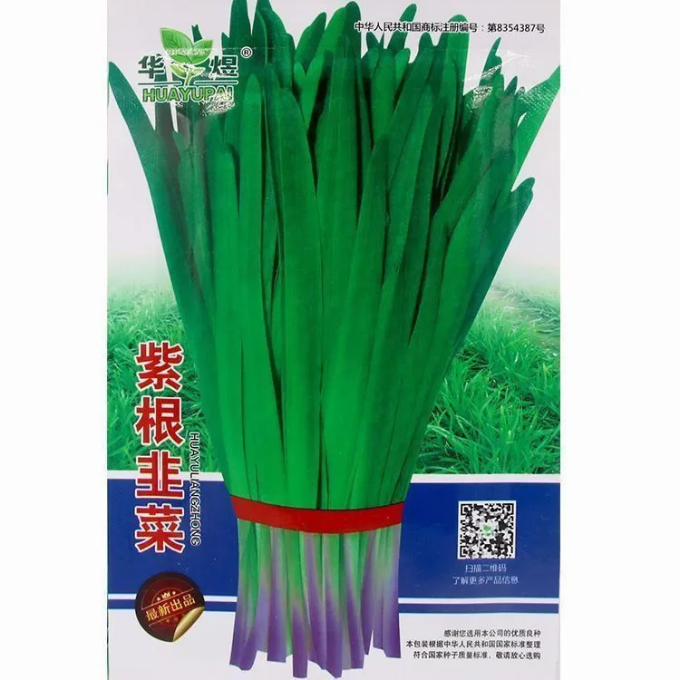 【春播】紫根韭菜种子红根韭菜大宽叶韭菜籽蔬菜籽四季耐热盆阳台