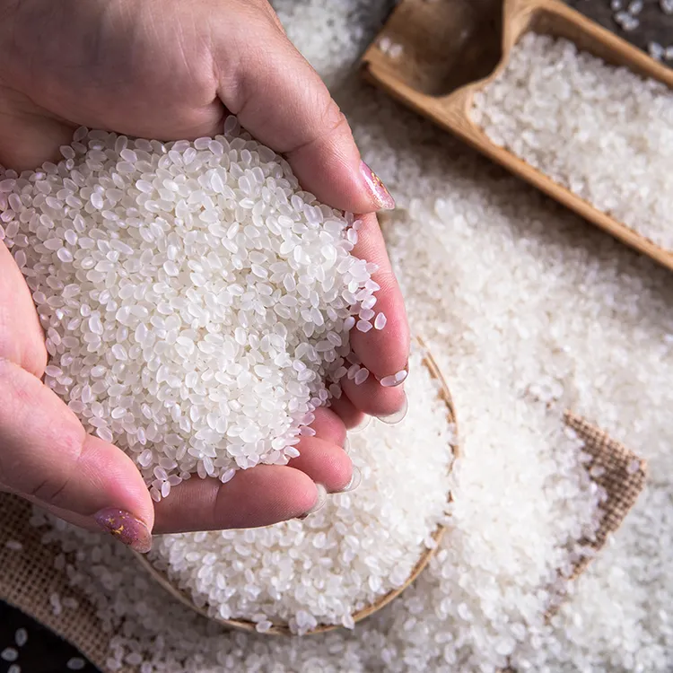 东北大米吉林原产地直发5斤10斤