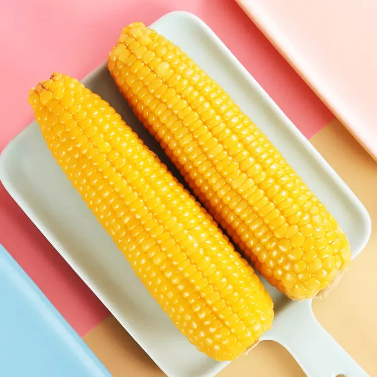 【黄糯玉米200克10根】东北黄糯玉米小棒吉林原产地新鲜好吃食用