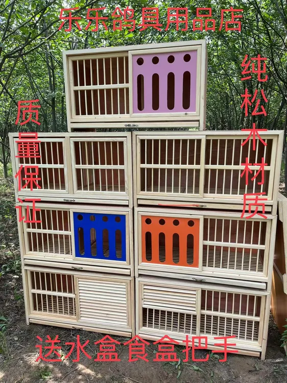 种鸽配对笼鸽子巢箱赛飞巢箱鸽子笼